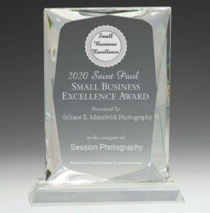 A small business excellence award with a crystal plaque.