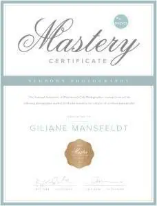 A certificate with the word mastery on it.