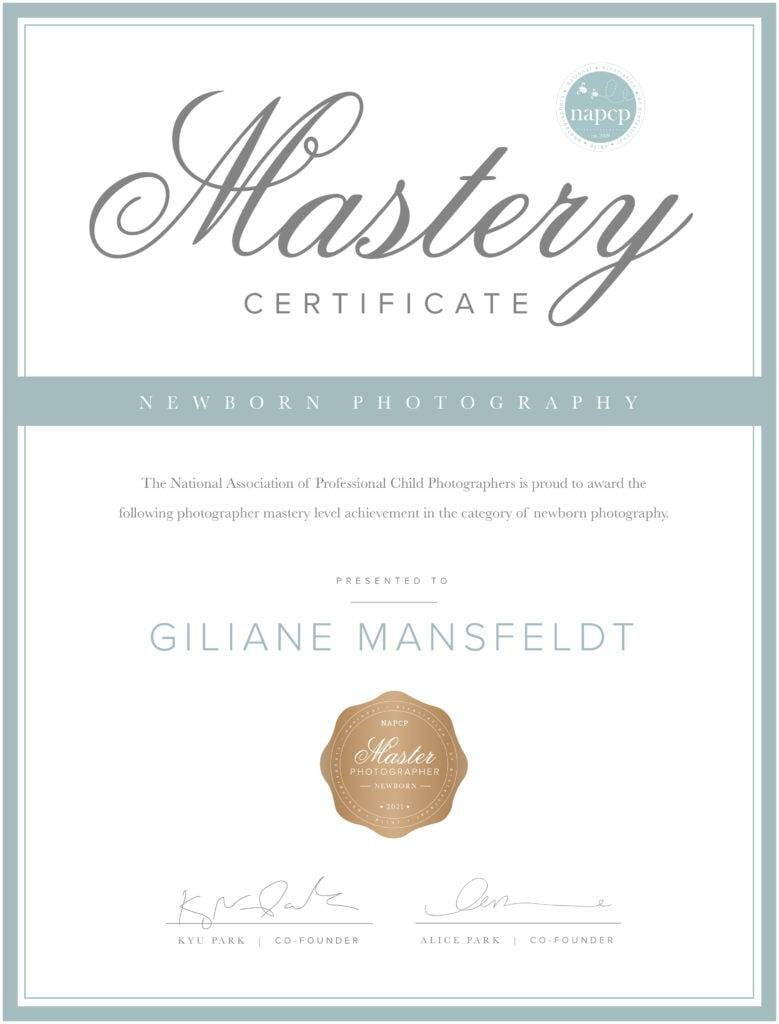 A certificate with the word mastery on it.