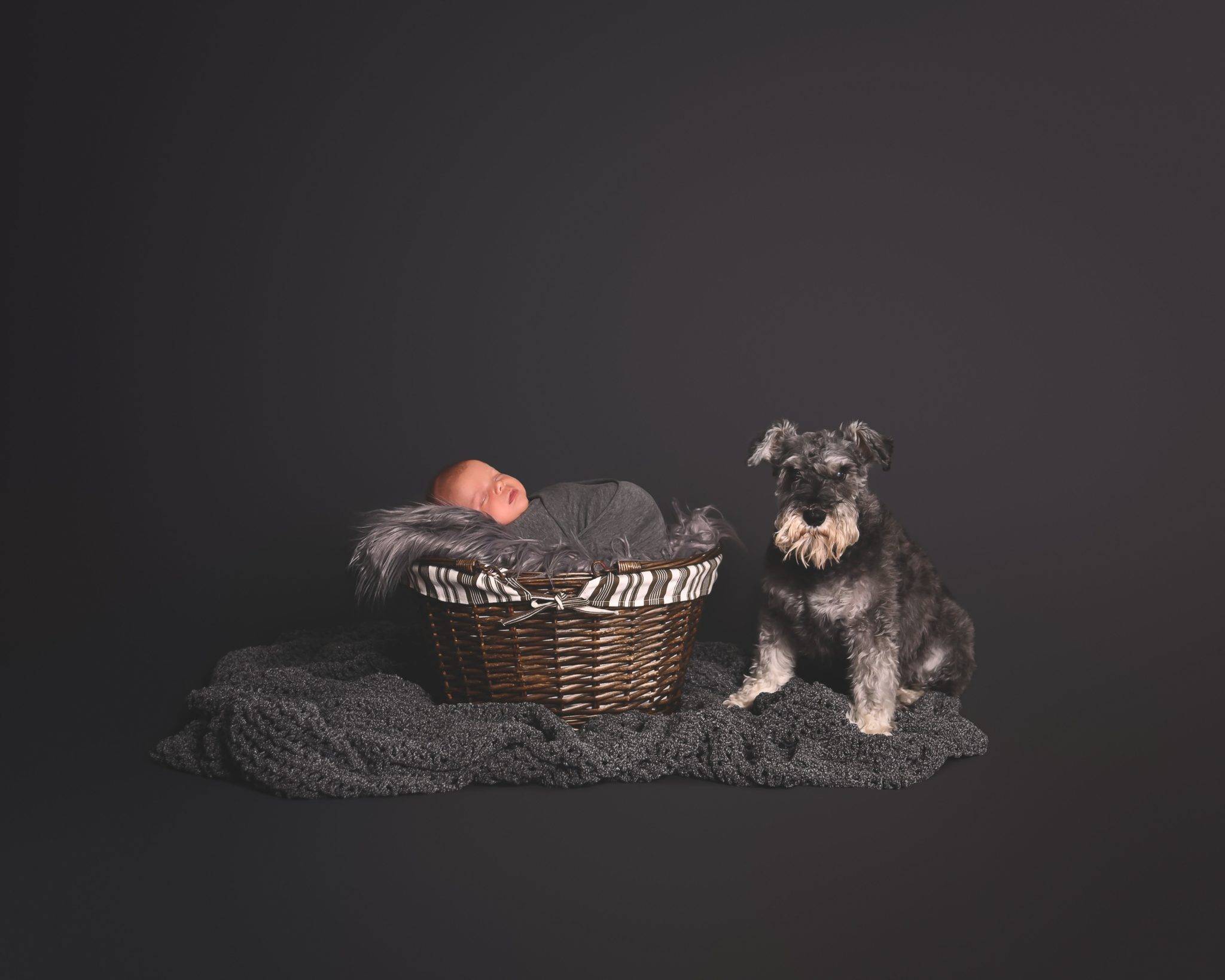 A baby in a basket next to a dog.