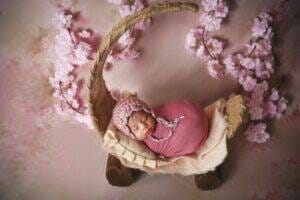 A newborn baby is laying in a pink basket with cherry blossoms.