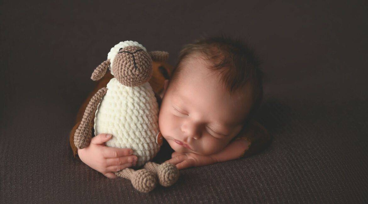 a newborn sleeping on a blanket on a brown surface holding a stuffed animal