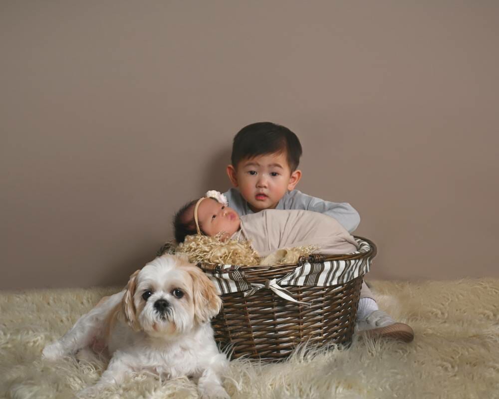 A baby and a dog in a basket.
