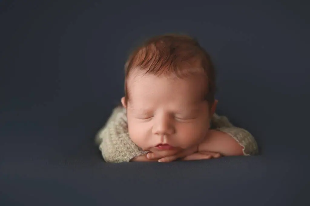 posed newborn in photography studio in st. paul, minnesota