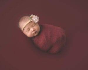 A newborn girl wrapped in a burgundy blanket for family photography in Saint Paul, Minnesota.