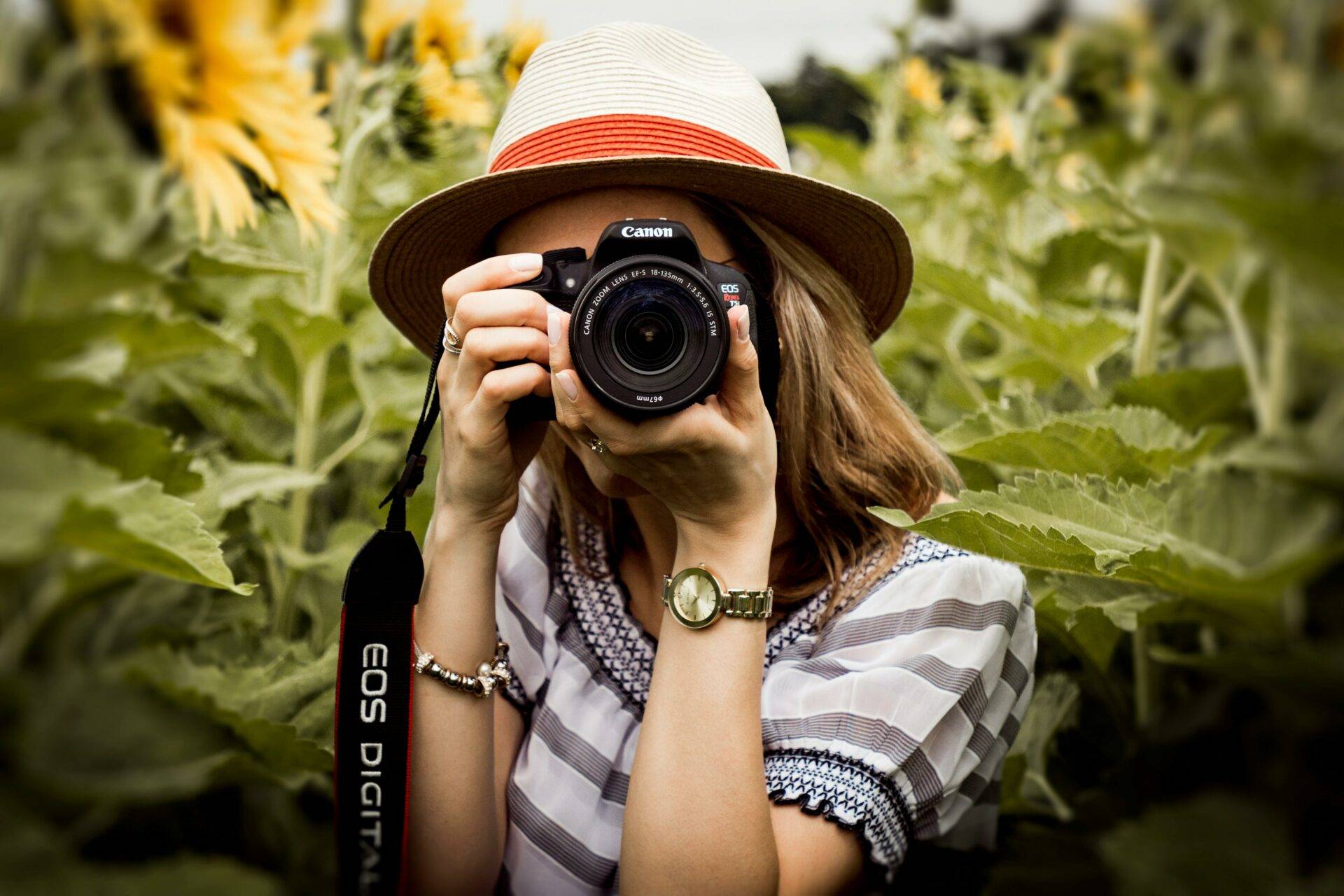 Person wearing a hat takes a photo in a sunflower field with a Canon camera.