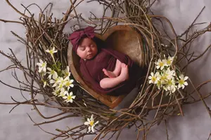 A newborn baby wrapped in a maroon cloth and headband sleeps in a heart-shaped wooden bowl, surrounded by twigs and white flowers.