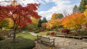 A landscaped garden with stone paths, wooden benches, and trees showcasing vibrant autumn foliage in shades of red, orange, and yellow under a partly cloudy sky.
