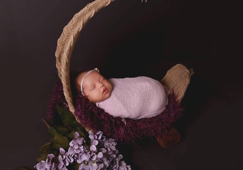 00002_BC0009 #image_title