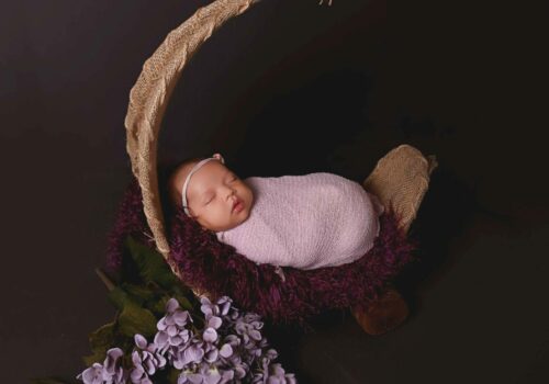 A newborn baby is wrapped in a purple blanket and surrounded by lilacs.