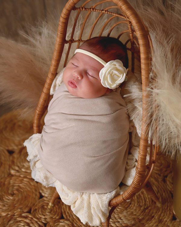 Newborn Photography, Saint Paul Minnesota Newborn Photography, Saint Paul Minnesota