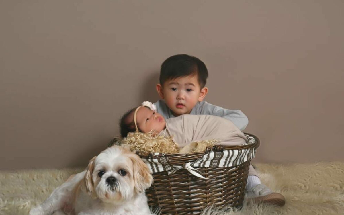 A baby and a dog in a basket.