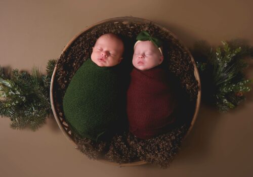 twin newborns asleep in a basket, photography studio saint paul minnesota