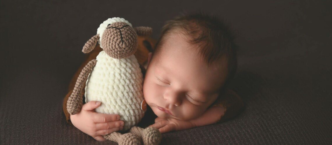 a newborn sleeping on a blanket on a brown surface holding a stuffed animal