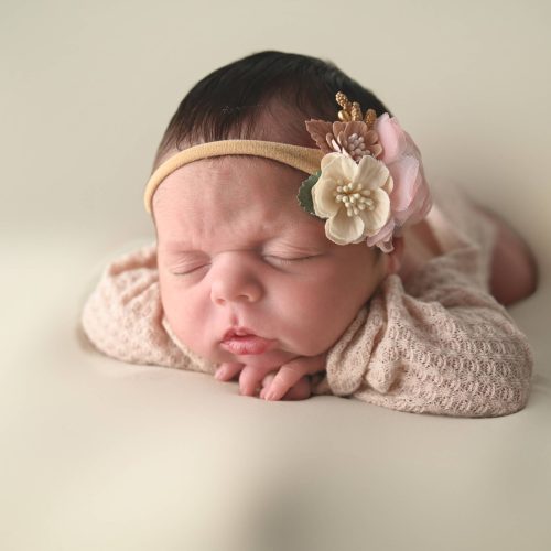 Newborn PHotography, Saint Paul Minnesota, in studio, posed newb Newborn PHotography, Saint Paul Minnesota, in studio, posed newb