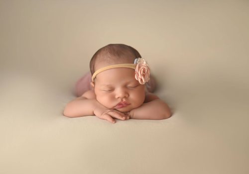 00009_BC0041 #image_title