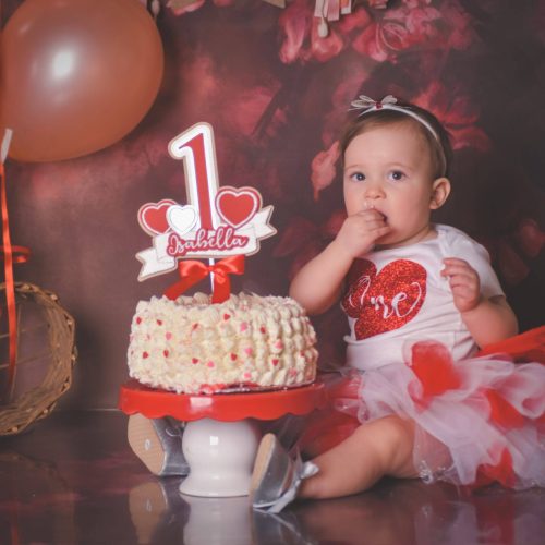L1_024 cake smash photos, in studio Minnesota
